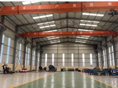 Zambia Workshop · Overhead Crane